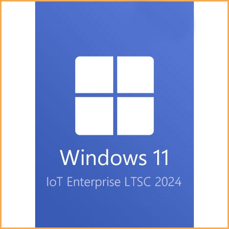 Windows 11 IoT Enterprise LTSC 2024 Key - 1 PC